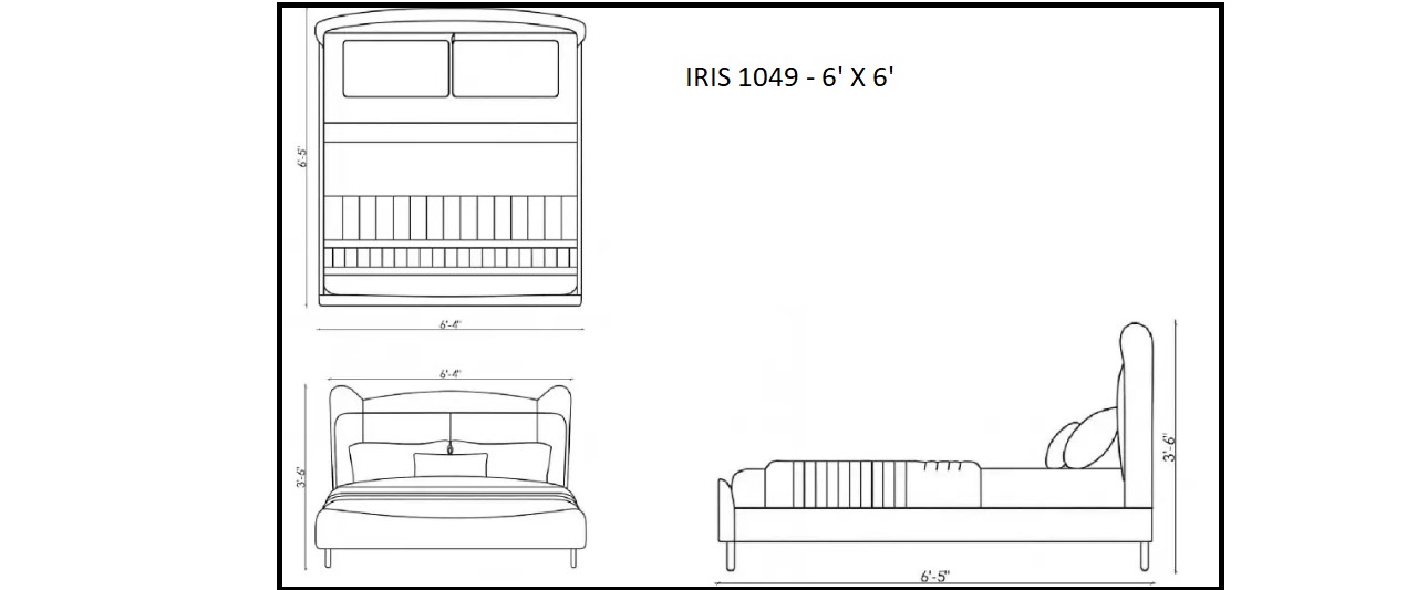 IRIS 1049 Queen